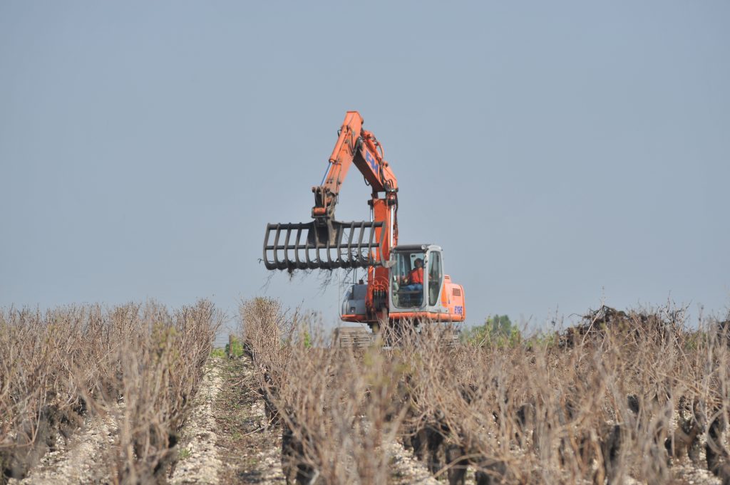 Arrachage de vigne Bergerac et Alentours